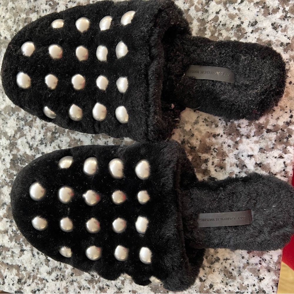 Alexander wang amelia slippers